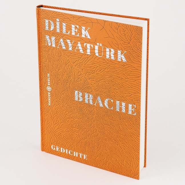 Bild: 9783446267862 | Brache | Gedichte | Dilek Mayatürk | Buch | 112 S. | Deutsch | 2020