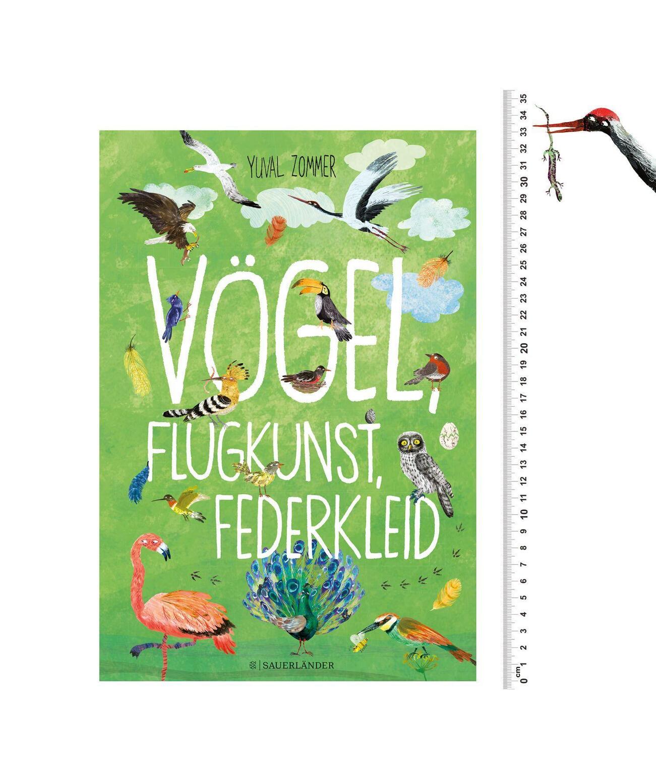 Bild: 9783737358101 | Vögel, Flugkunst, Federkleid | Yuval Zommer | Buch | 64 S. | Deutsch