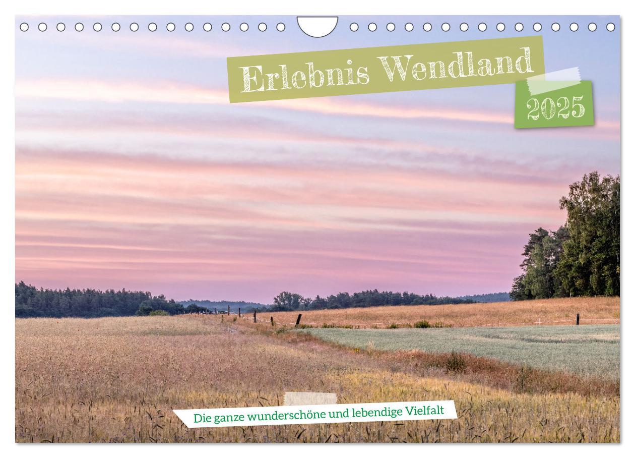 Cover: 9783383950780 | Erlebnis Wendland (Wandkalender 2025 DIN A4 quer), CALVENDO...