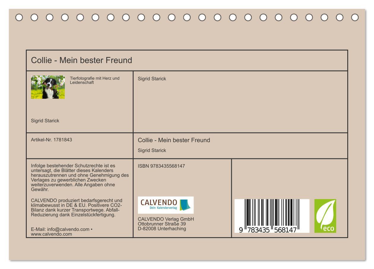 Bild: 9783435568147 | Collie - Mein bester Freund (Tischkalender 2025 DIN A5 quer),...