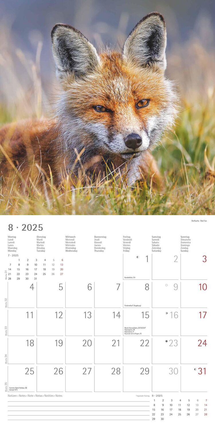 Bild: 4251732340803 | Wald und Flur 2025 - Broschürenkalender 30x30 cm (30x60 geöffnet) -...