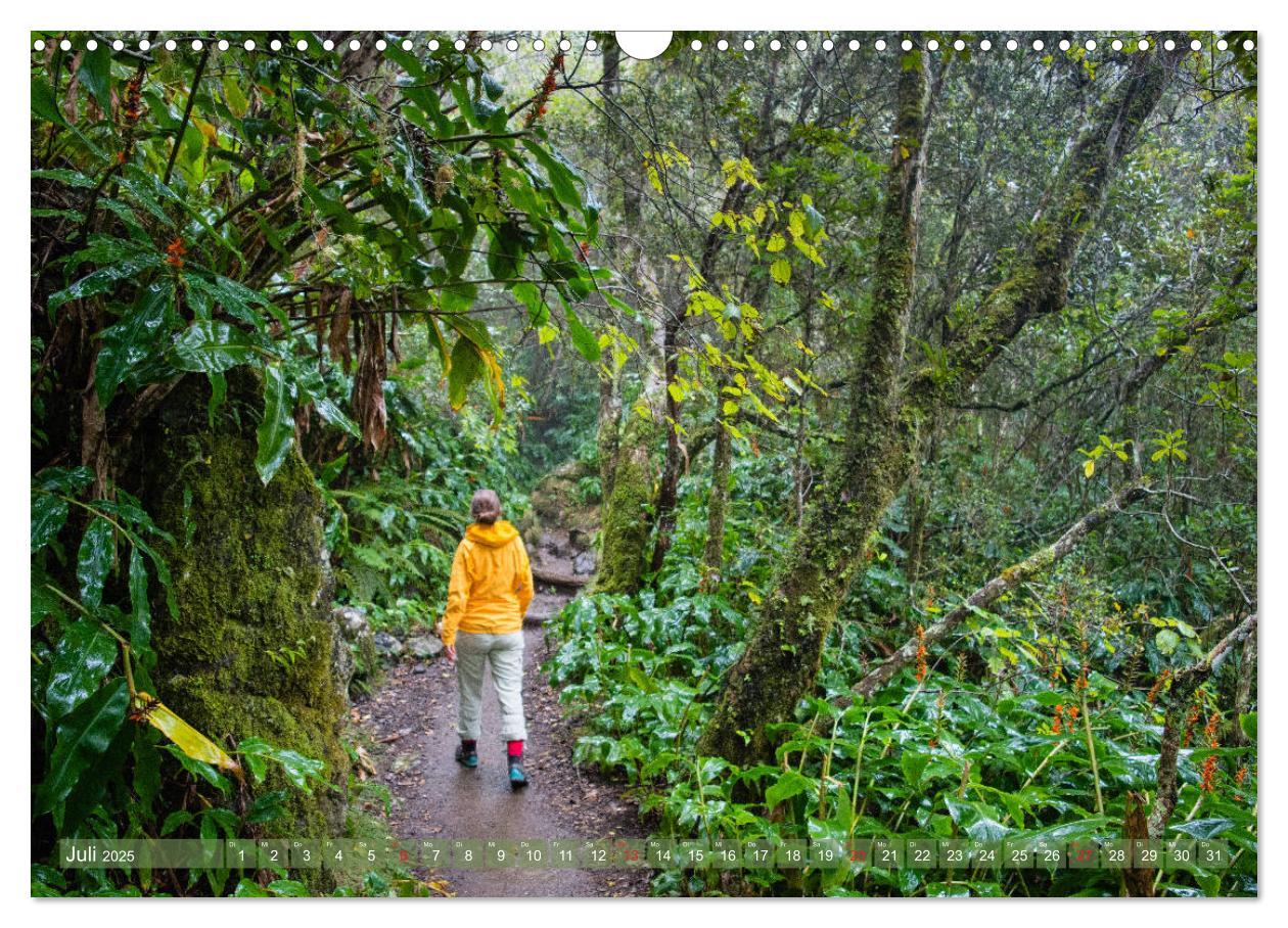 Bild: 9783435184309 | La Réunion - Impressionen von Rolf Dietz (Wandkalender 2025 DIN A3...