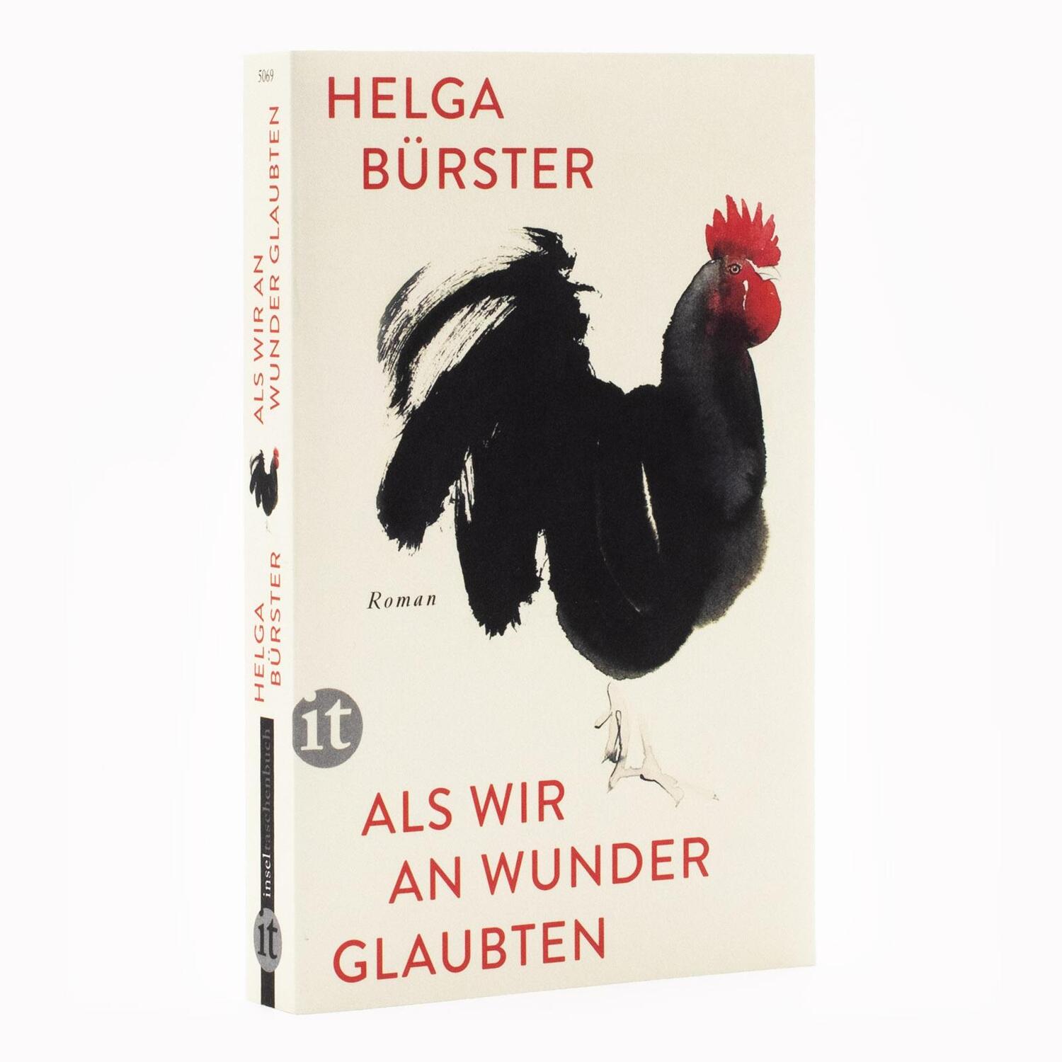 Bild: 9783458683698 | Als wir an Wunder glaubten | Roman | Helga Bürster | Taschenbuch