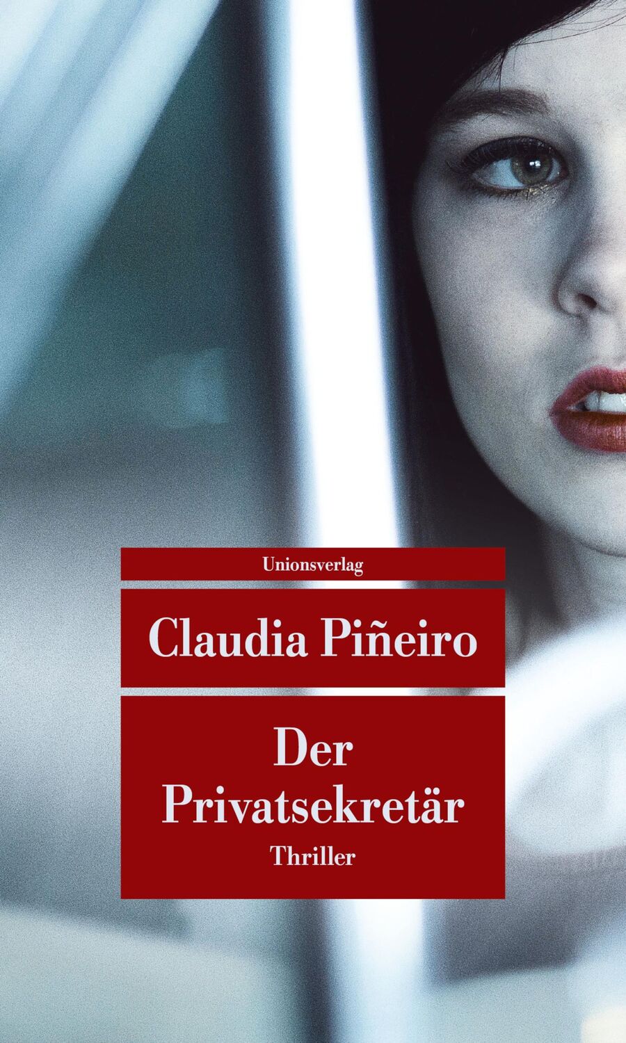 Cover: 9783293208827 | Der Privatsekretär | Claudia Piñeiro | Taschenbuch | 320 S. | Deutsch