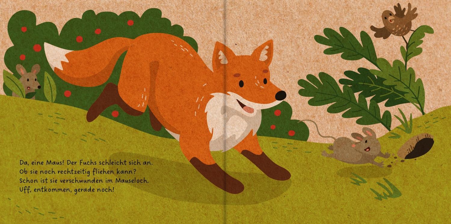 Bild: 9783751202411 | Meine Waldfreunde. Der kleine Fuchs | Carla Häfner | Buch | PAPPE