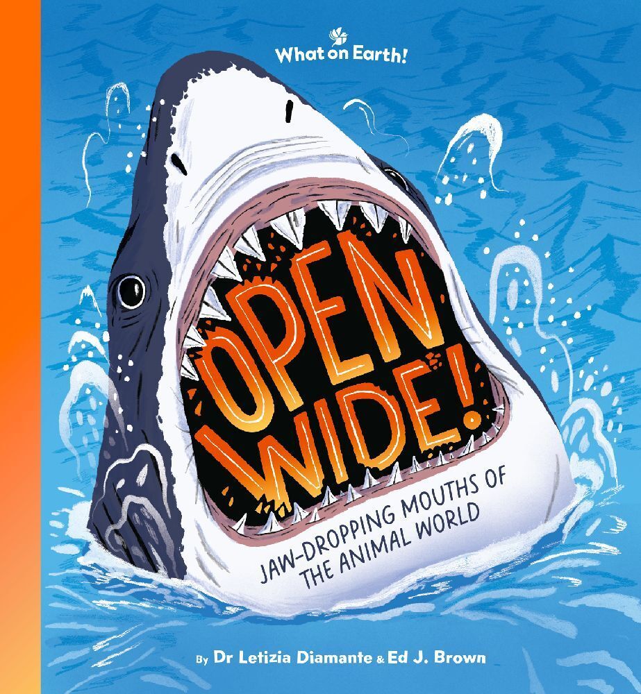 Cover: 9781804661352 | Open Wide! | Jaw-dropping mouths of the animal world | Diamante | Buch