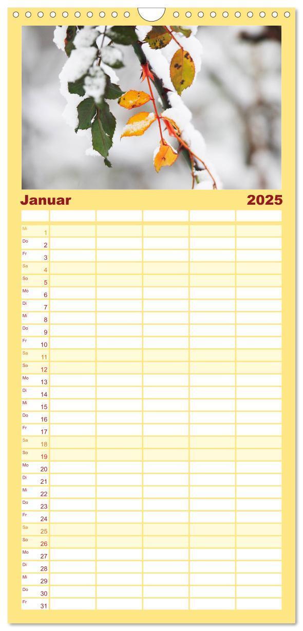 Bild: 9783457105207 | Familienplaner 2025 - Blätter mit 5 Spalten (Wandkalender, 21 x 45...