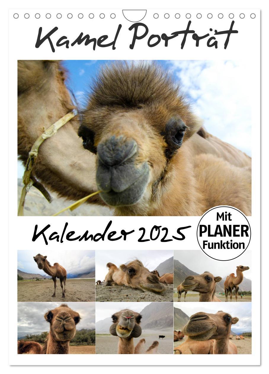 Cover: 9783457023358 | Kamel Porträt (Wandkalender 2025 DIN A4 hoch), CALVENDO Monatskalender