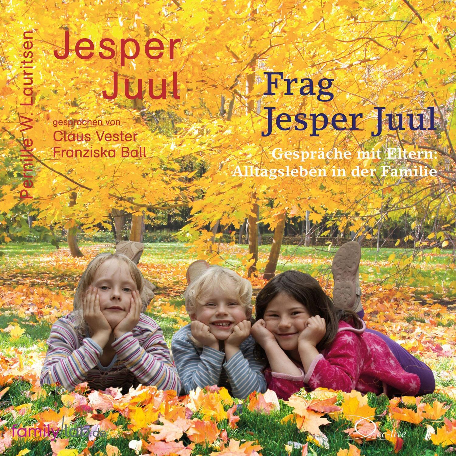 Cover: 9783956164439 | Frag Jesper Juul - Gespräche mit Eltern | Alltagsleben in der Familie