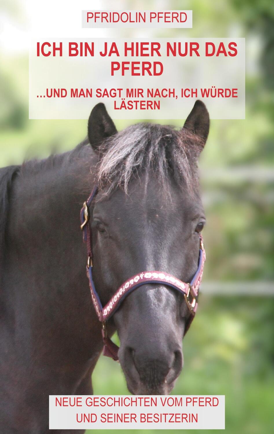 Cover: 9783759794598 | Ich bin ja hier nur das Pferd | Pfridolin Pferd | Taschenbuch | 188 S.