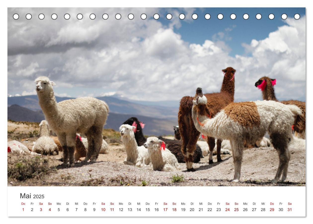 Bild: 9783435002863 | Peru - Das einzigartige Land der Inkas. (Tischkalender 2025 DIN A5...