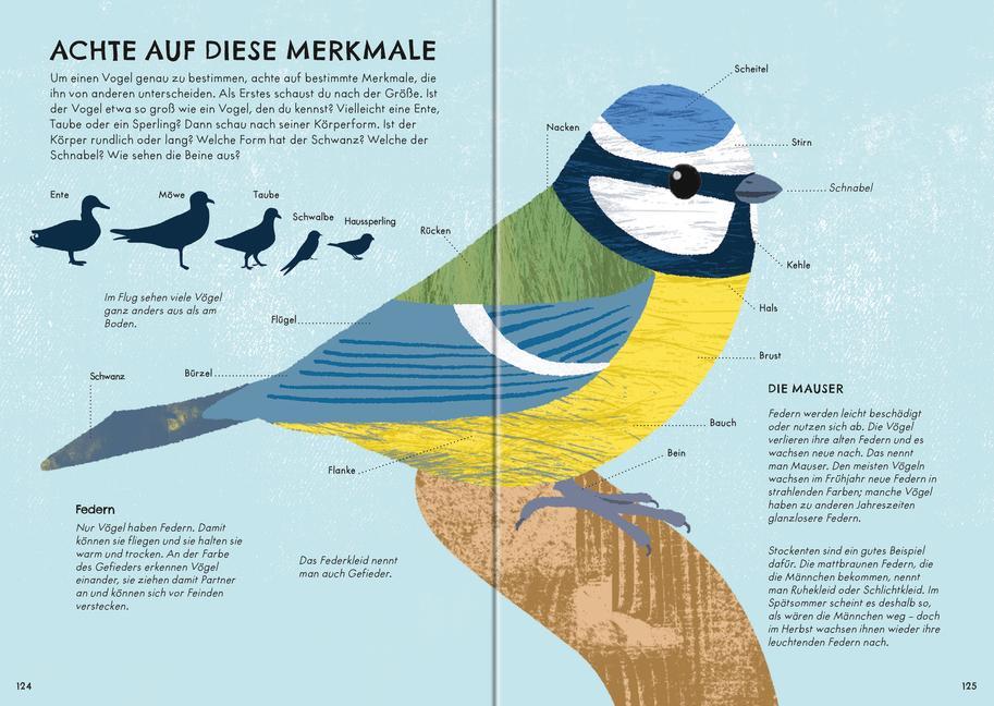 Bild: 9783473480531 | Der große Ravensburger Naturführer - Naturwissen für Kinder ab 5...