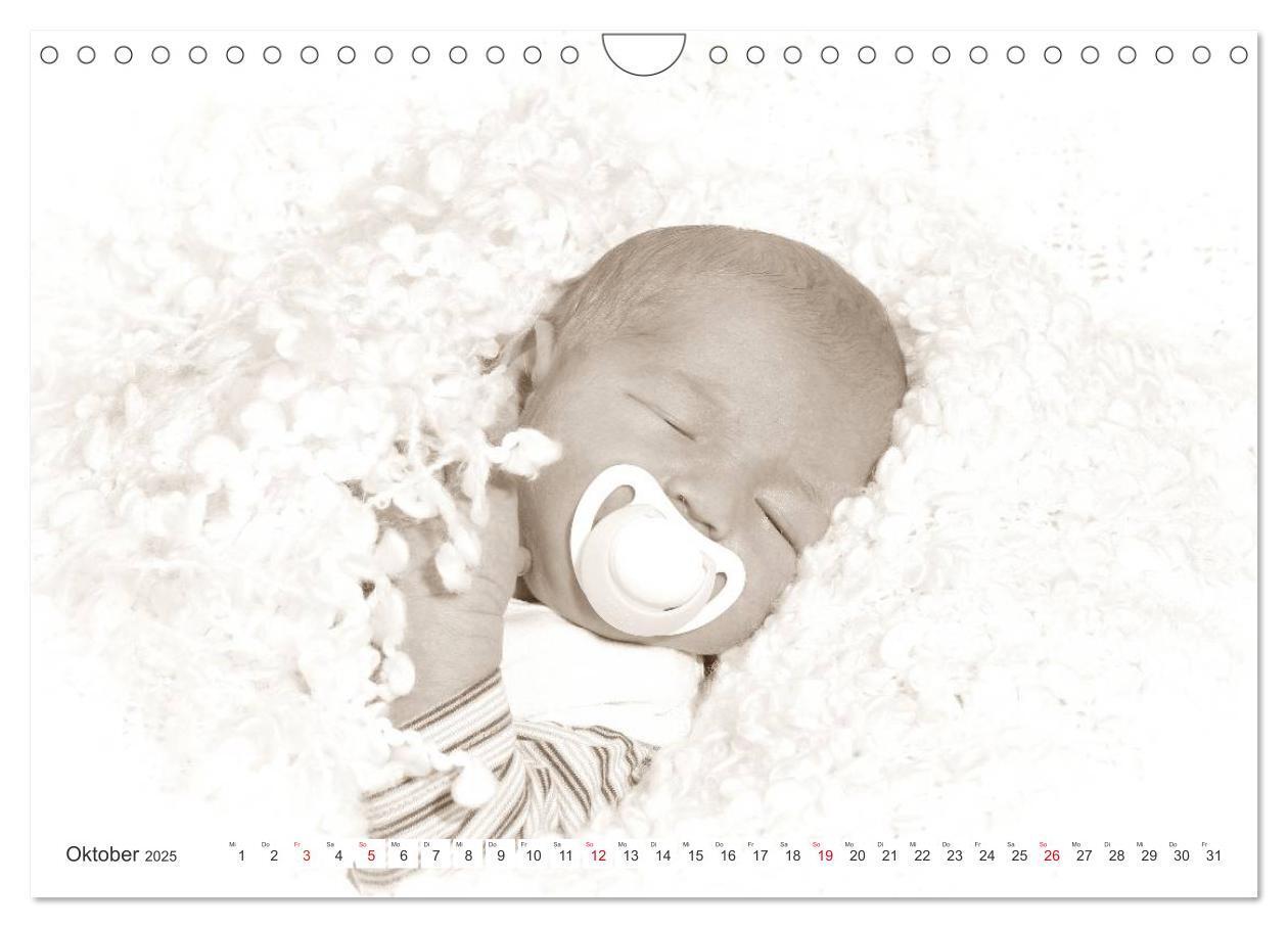 Bild: 9783435707362 | Babys - Willkommen im Leben (Wandkalender 2025 DIN A4 quer),...