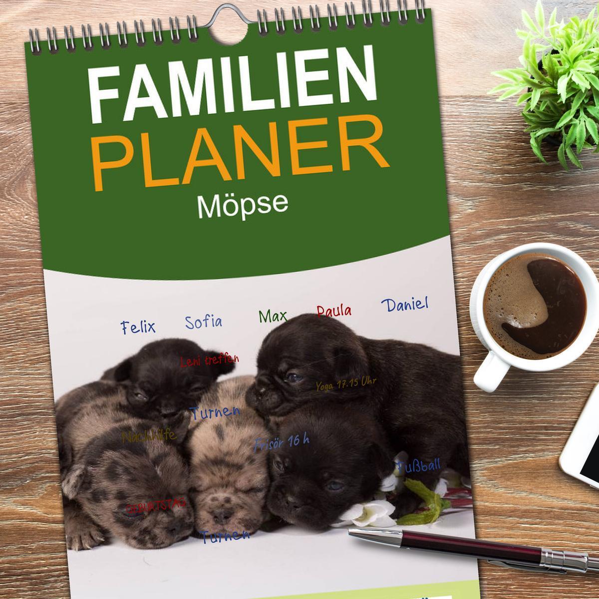 Bild: 9783457112281 | Familienplaner 2025 - Möpse mit 5 Spalten (Wandkalender, 21 x 45...