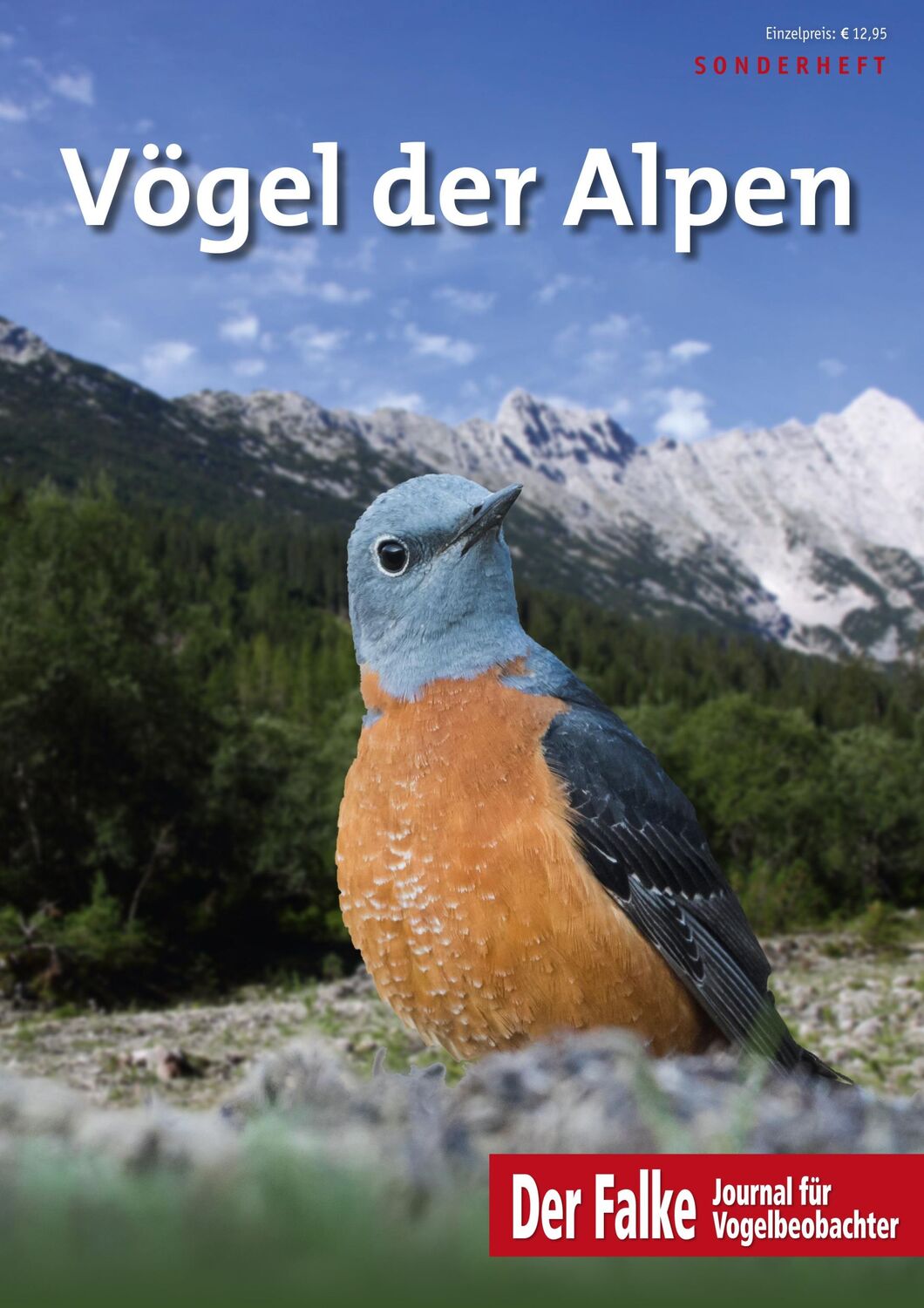 Cover: 9783891048504 | Vögel der Alpen - Falke-Sonderheft 2022 | Redaktion Der Falke | 72 S.