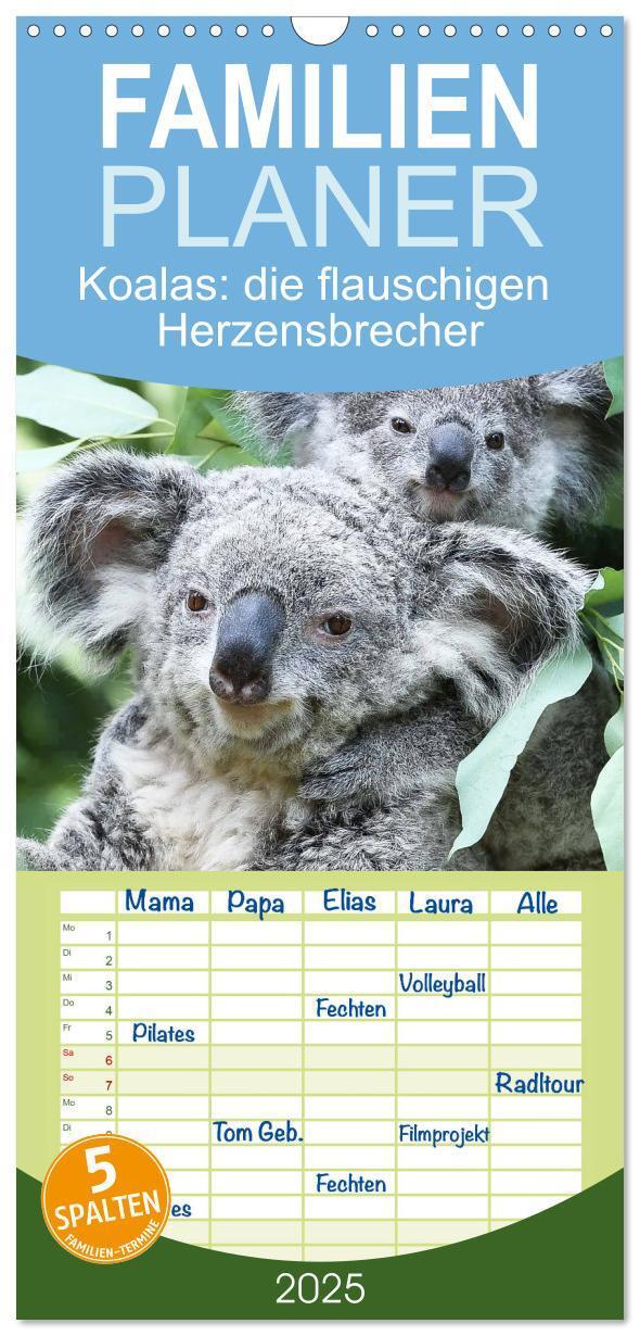 Cover: 9783457091456 | Familienplaner 2025 - Koalas: die flauschigen Herzensbrecher mit 5...