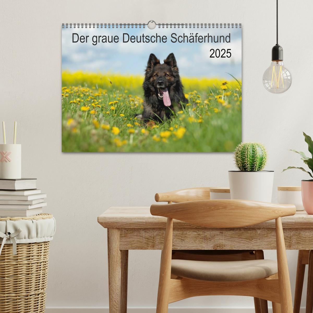 Bild: 9783435713554 | Der graue Deutsche Schäferhund (Wandkalender 2025 DIN A3 quer),...