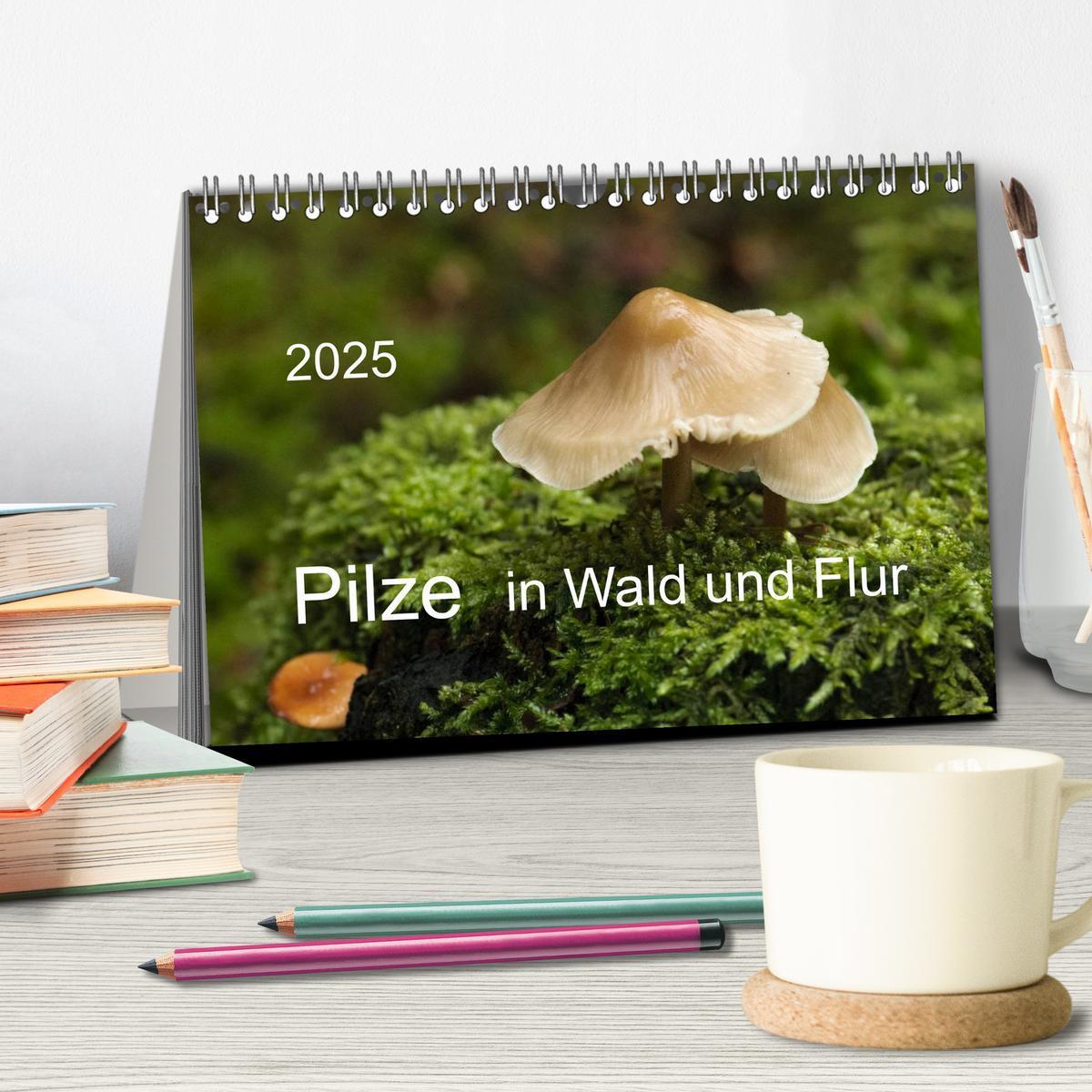 Bild: 9783435641314 | Pilze in Wald und Flur (Tischkalender 2025 DIN A5 quer), CALVENDO...