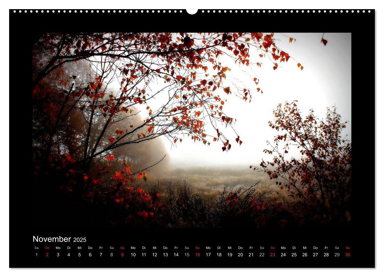 Bild: 9783435731398 | Landschaft Teufelsmoor / 2025 (Wandkalender 2025 DIN A2 quer),...