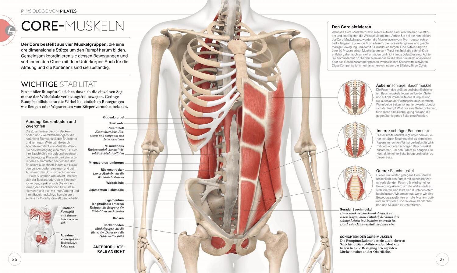 Bild: 9783831046300 | Pilates - Die Anatomie verstehen | Tracy Ward | Taschenbuch | 224 S.