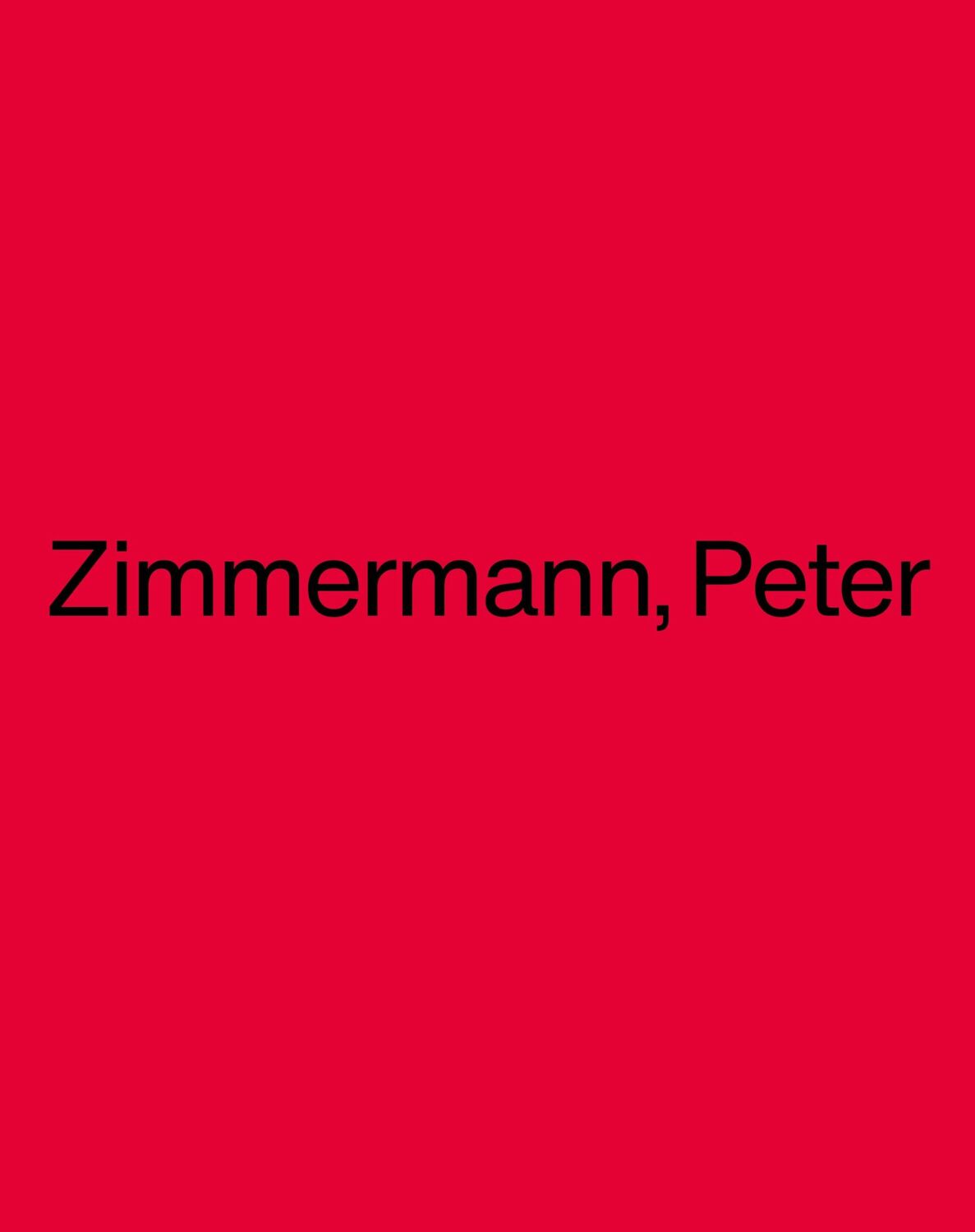 Cover: 9783868328080 | Zimmermann, Peter | Dictionary from Z to A | Istanbul Dirimart | Buch