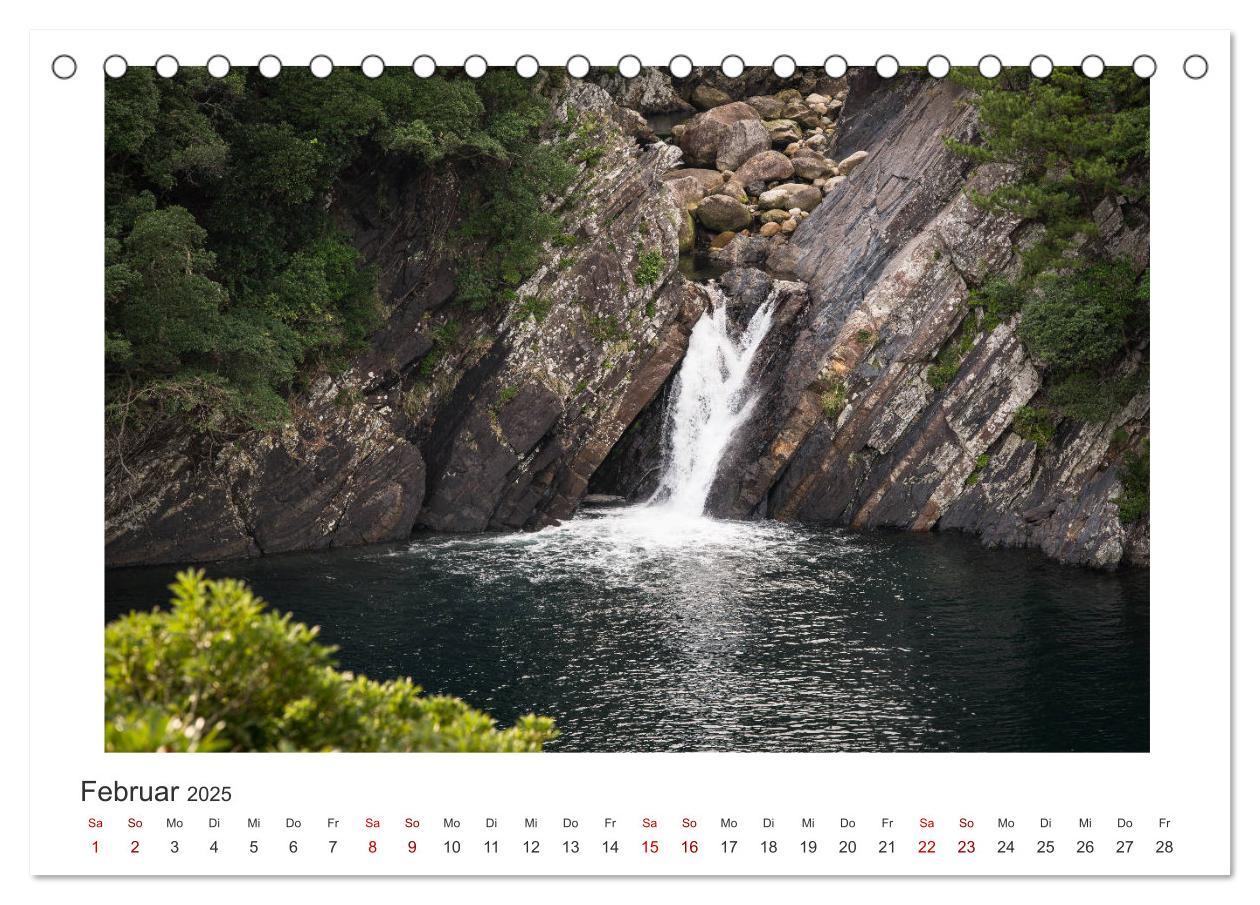 Bild: 9783435343799 | Yakushima - Japans Weltnaturerbe (Tischkalender 2025 DIN A5 quer),...