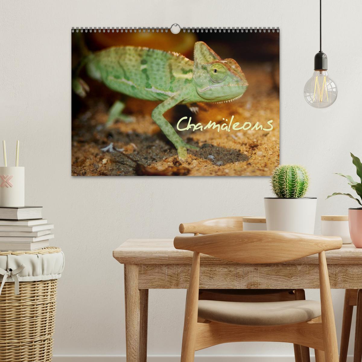 Bild: 9783435787821 | Chamäleons (Wandkalender 2025 DIN A3 quer), CALVENDO Monatskalender