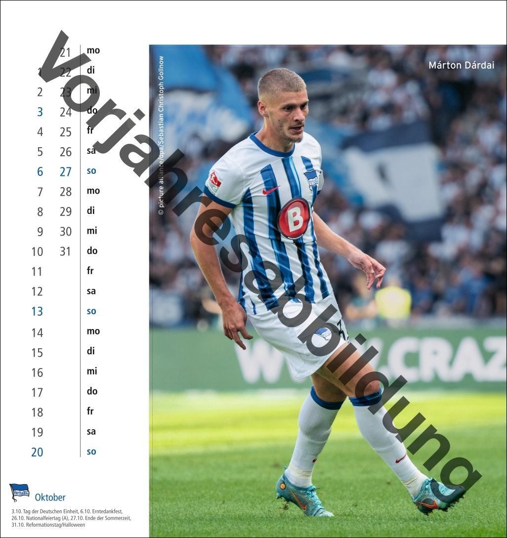 Bild: 9783756405480 | Hertha BSC Postkartenkalender 2025 | Kalender | Spiralbindung | 13 S.