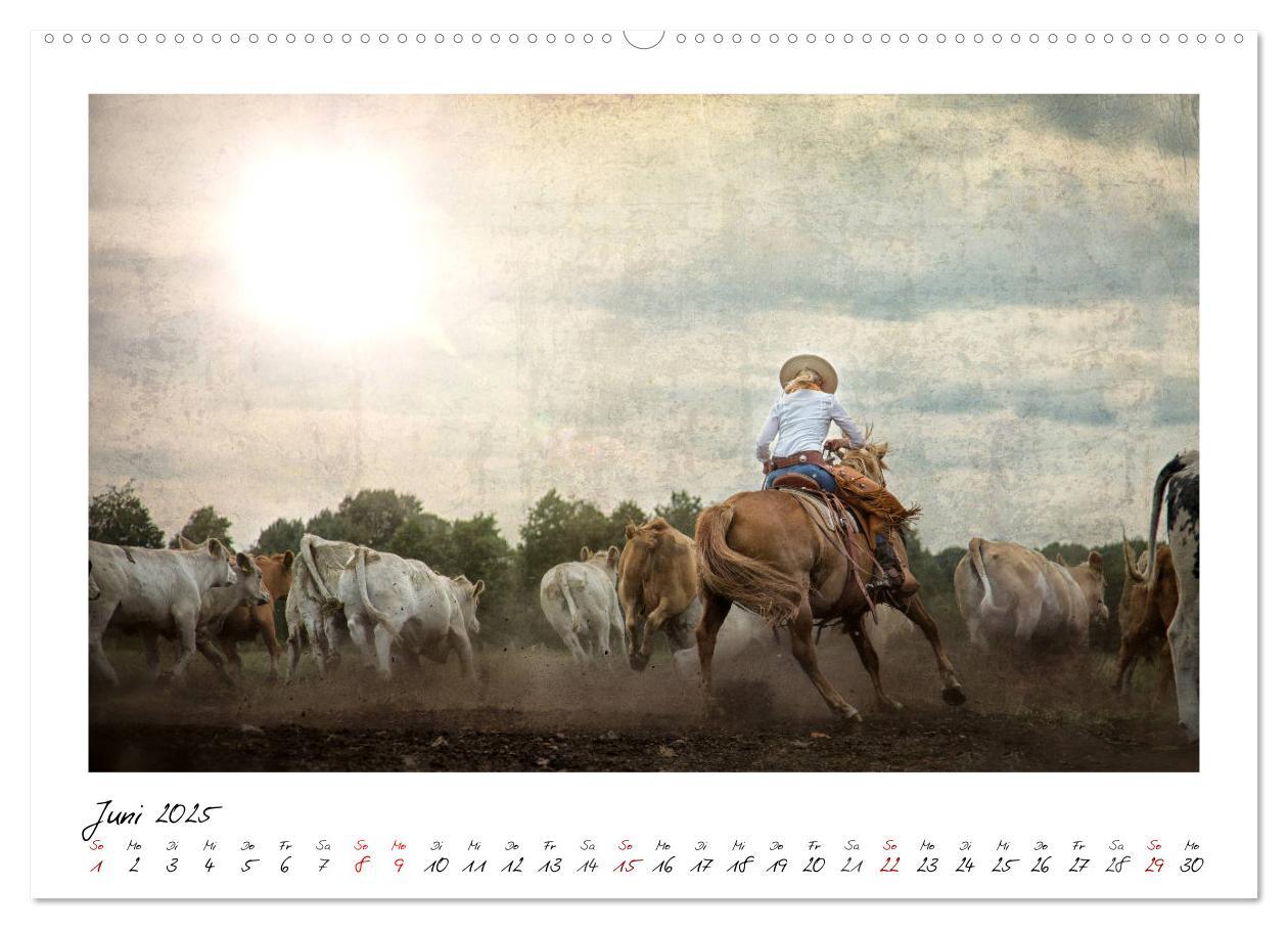 Bild: 9783435442676 | Mecklenburgs Wilder Westen (hochwertiger Premium Wandkalender 2025...