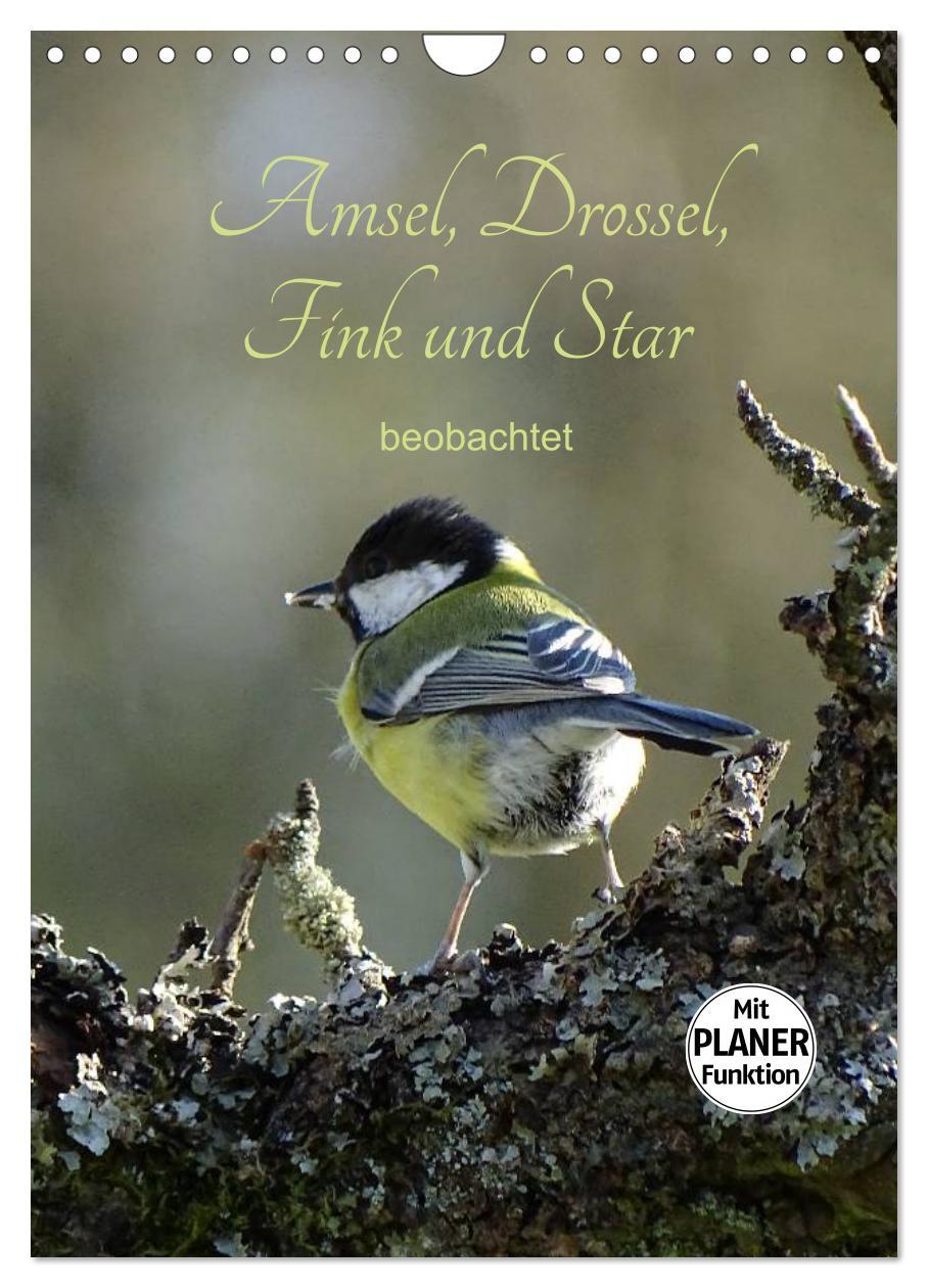 Cover: 9783457042380 | Amsel, Drossel, Fink und Star - beobachtet (Wandkalender 2025 DIN...