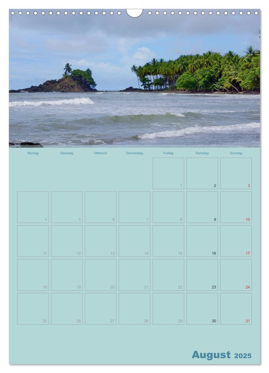 Bild: 9783457049389 | Karibik - Sonne, Strand und Palmen (Wandkalender 2025 DIN A3 hoch),...