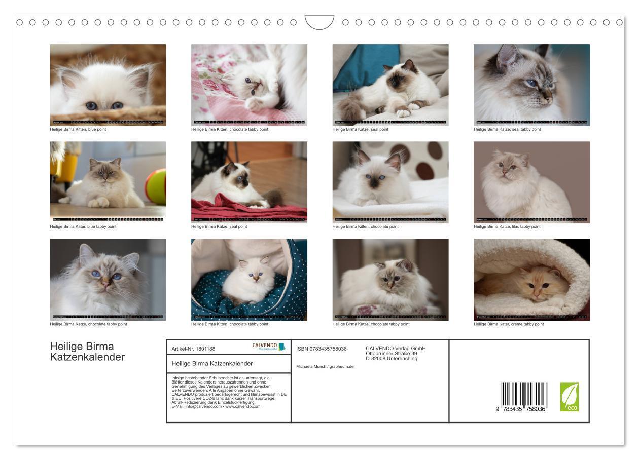 Bild: 9783435758036 | Heilige Birma Katzenkalender (Wandkalender 2025 DIN A3 quer),...