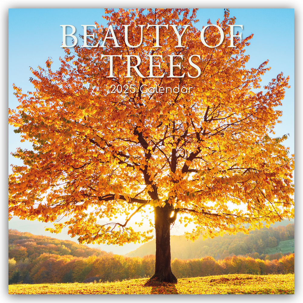 Cover: 9781837889310 | Beauty of Trees - Die Schönheit der Bäume 2025 - 16-Monatskalender