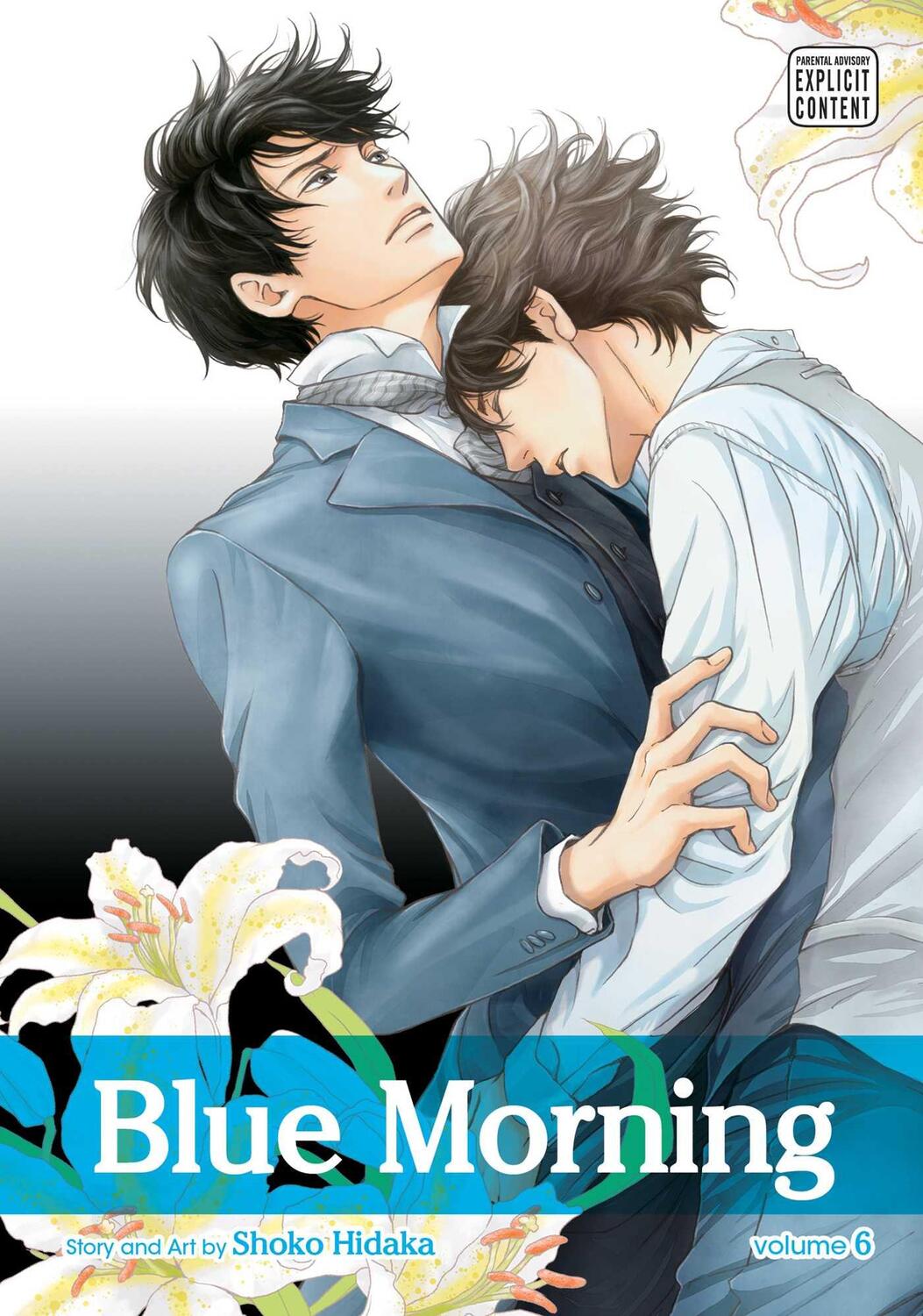 Cover: 9781421588063 | Blue Morning, Vol. 6 | Shoko Hidaka | Taschenbuch | Englisch | 2016