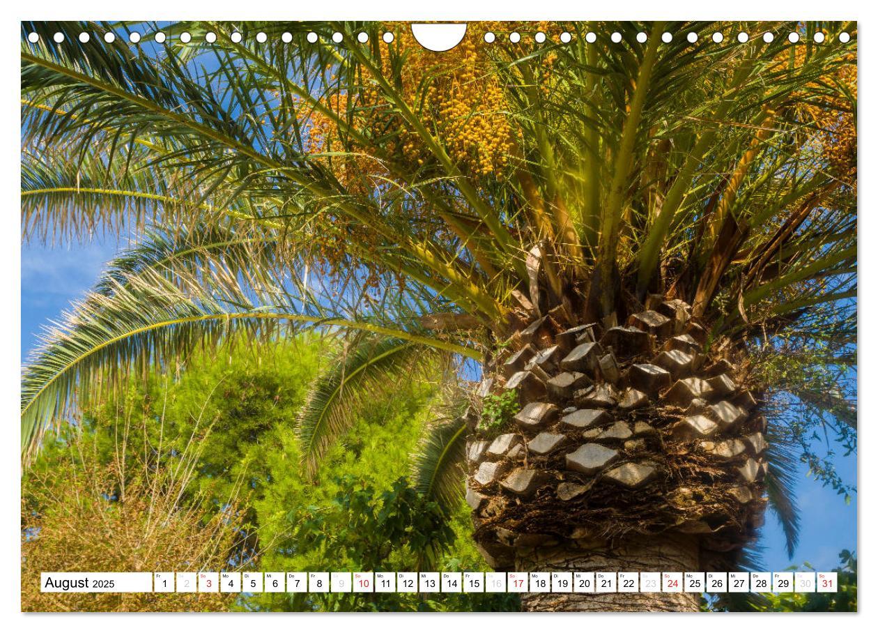 Bild: 9783435474622 | Miami Platja - Unvergessliche Meerblicke (Wandkalender 2025 DIN A4...