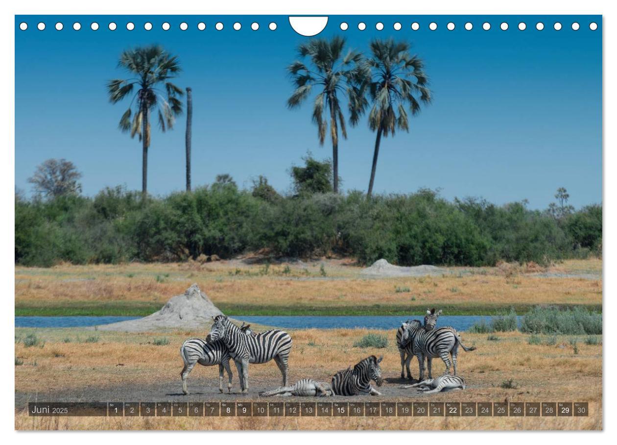 Bild: 9783435725748 | Botswana ¿ Landschaft und Tierwelt (Wandkalender 2025 DIN A4 quer),...