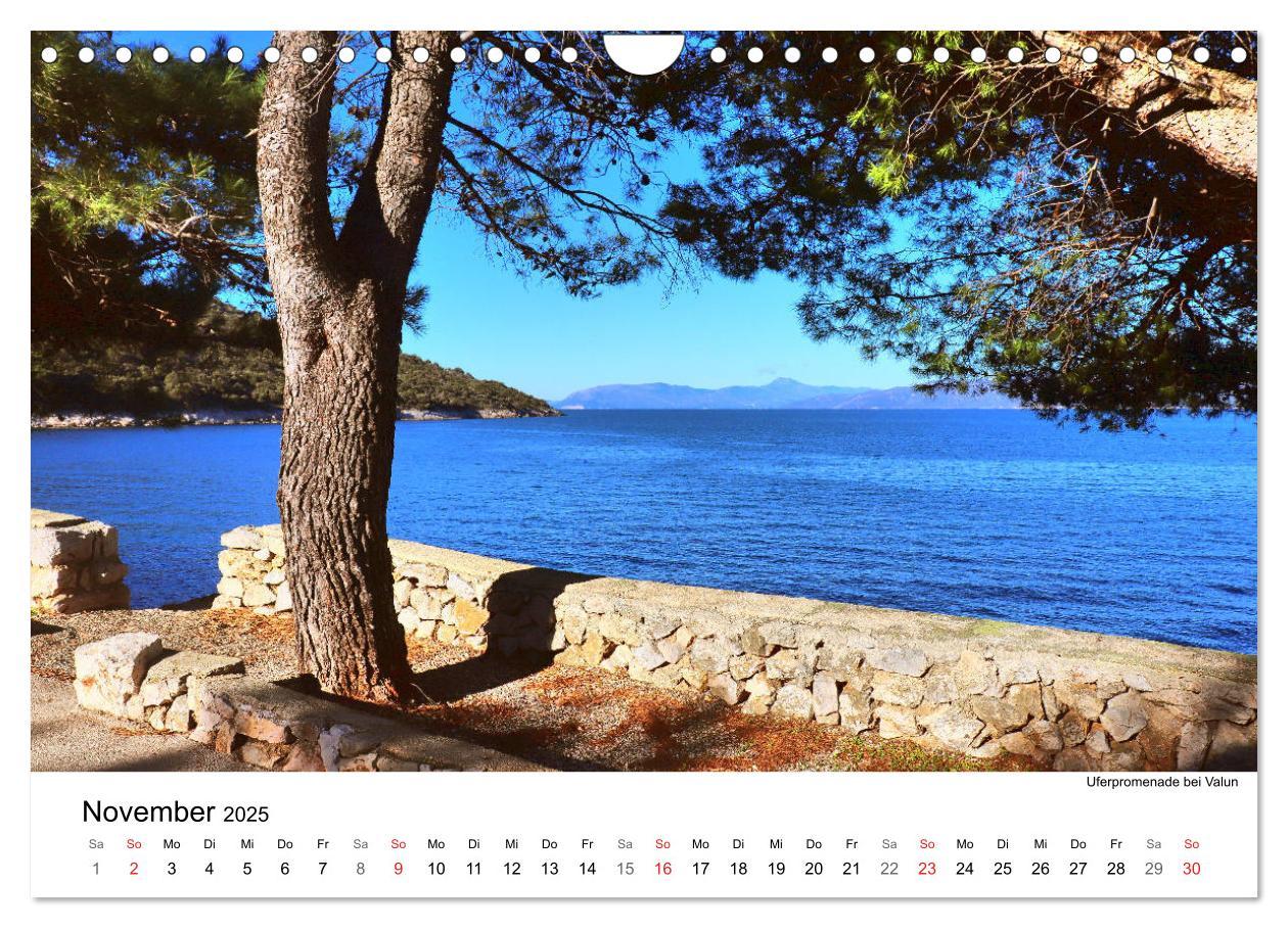 Bild: 9783435164394 | Kroatiens Inselzauber, Cres (Wandkalender 2025 DIN A4 quer),...