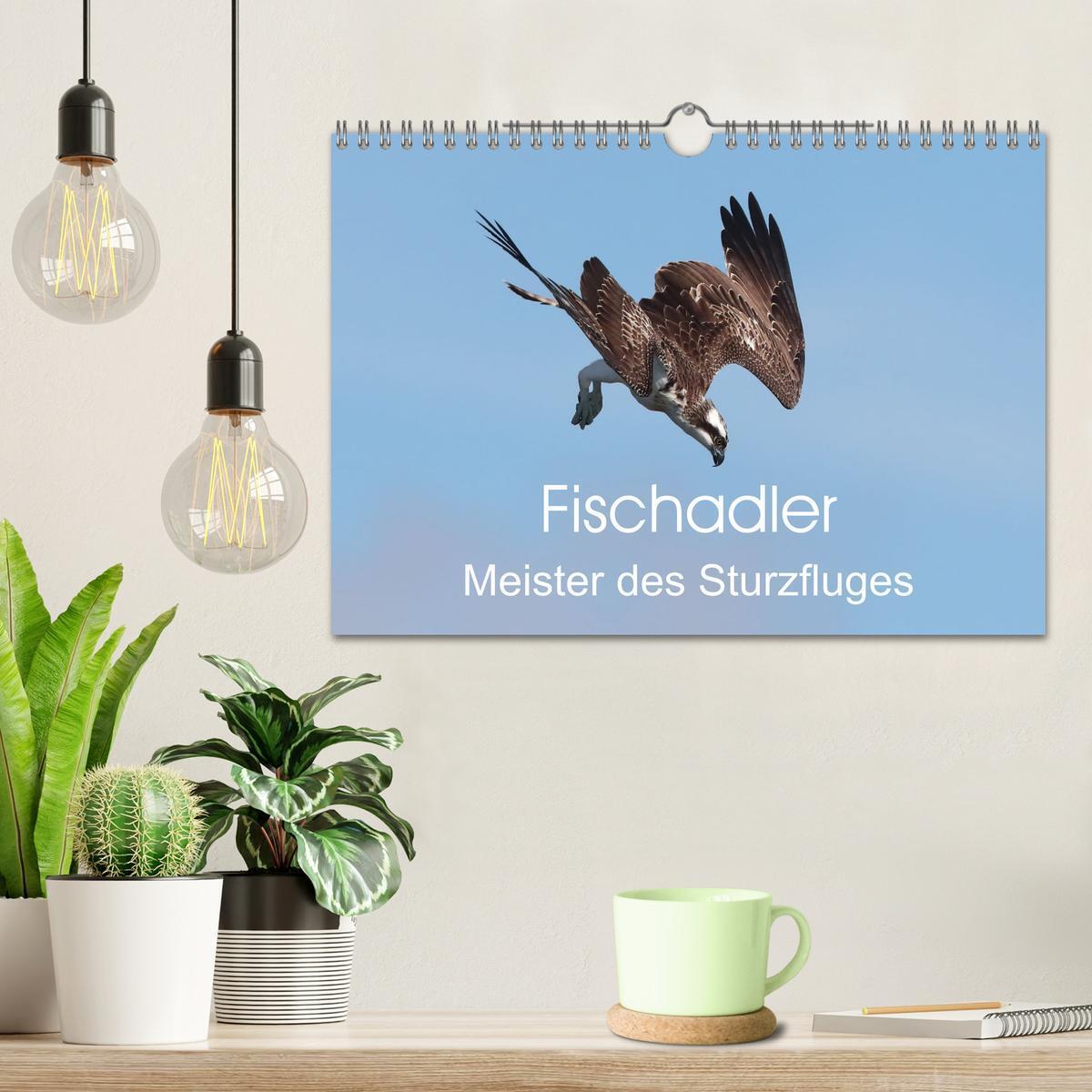 Bild: 9783383841125 | Fischadler - Meister des Sturzfluges (Wandkalender 2025 DIN A4...