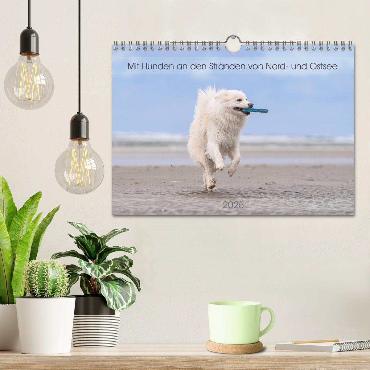 Bild: 9783435183005 | Mit Hunden an den Stränden von Nord- und Ostsee (Wandkalender 2025...