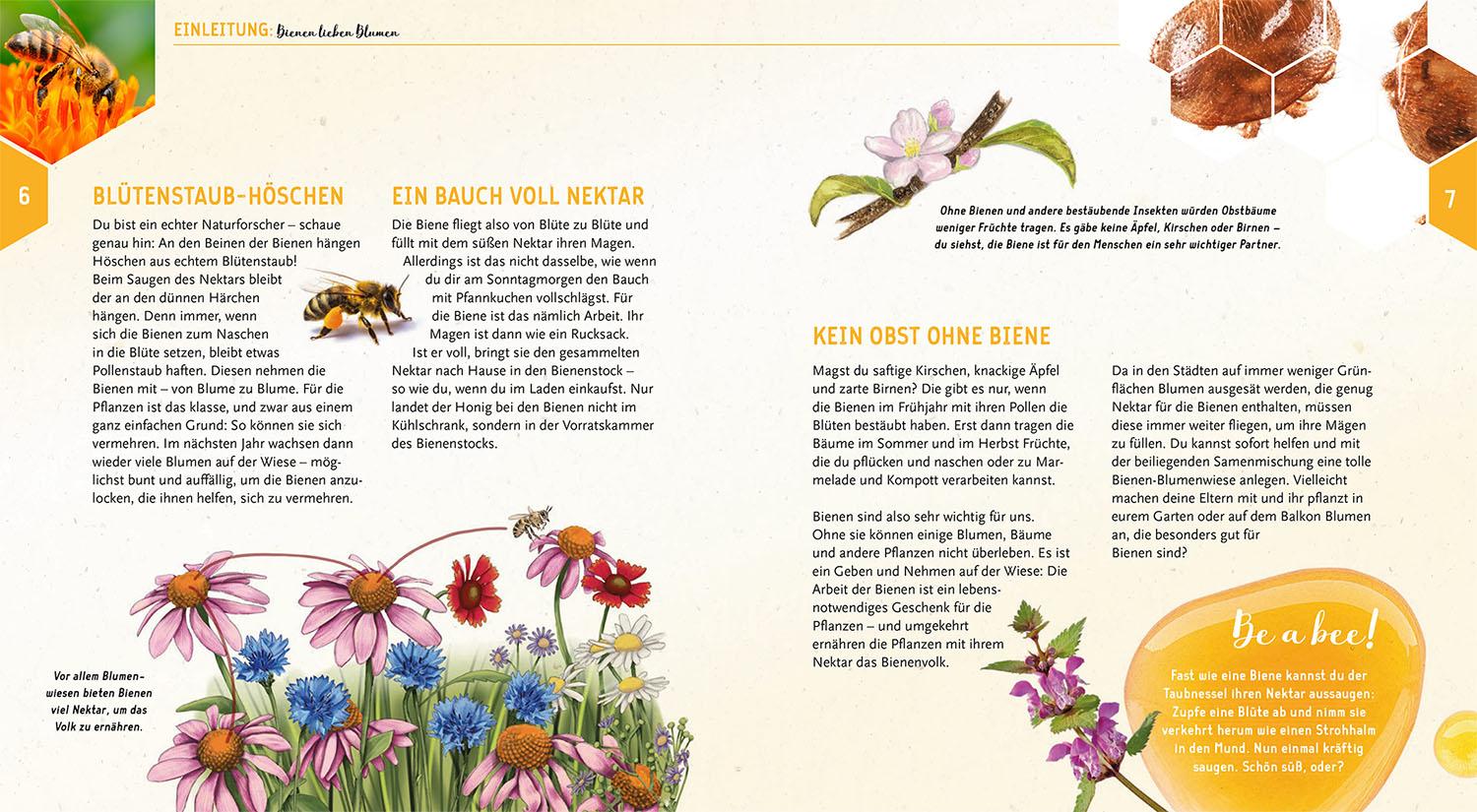 Bild: 9783440179376 | Ein Jahr mit den Bienen | Tobias Miltenberger (u. a.) | Buch | 72 S.