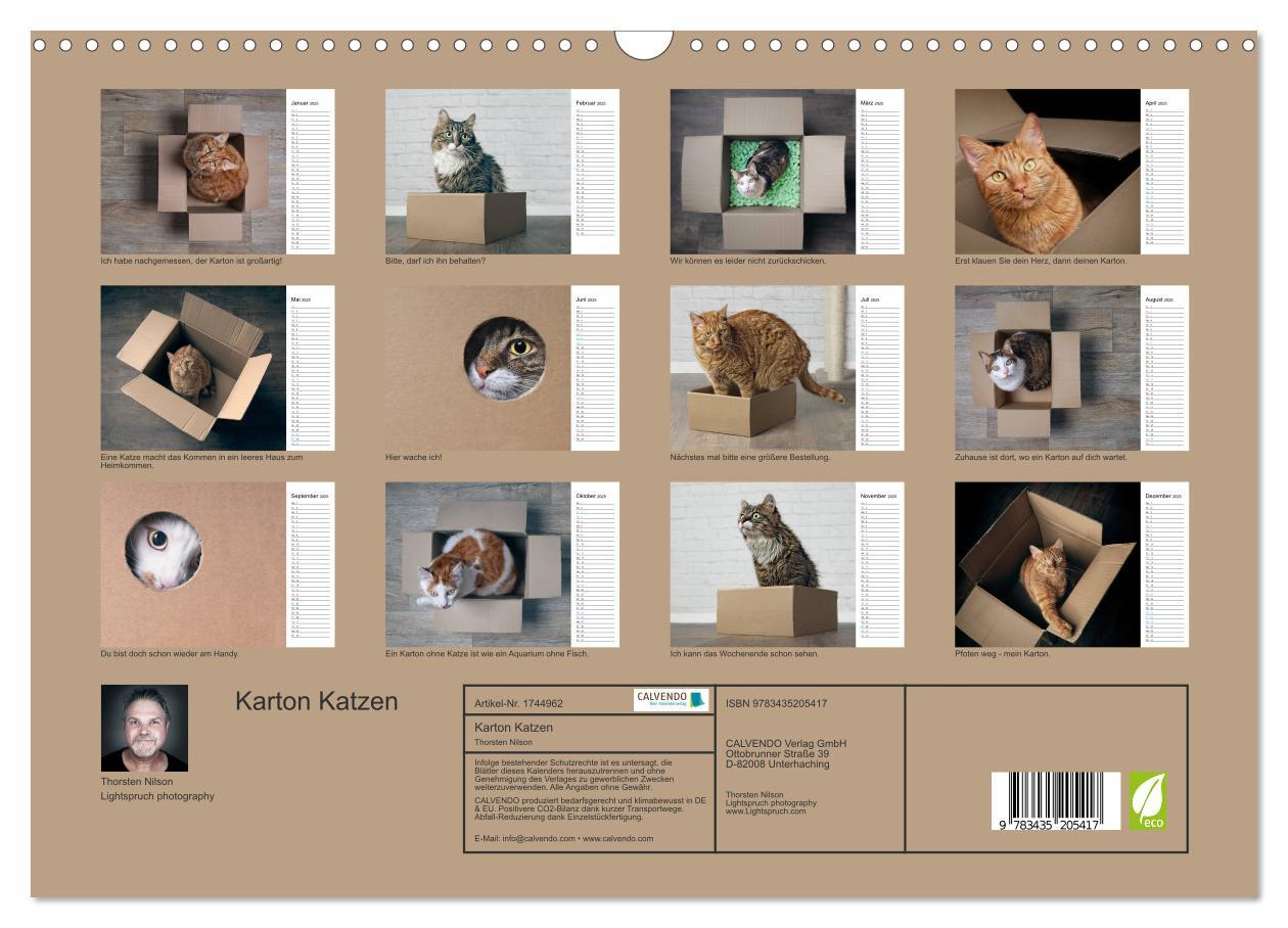 Bild: 9783435205417 | Karton Katzen (Wandkalender 2025 DIN A3 quer), CALVENDO Monatskalender