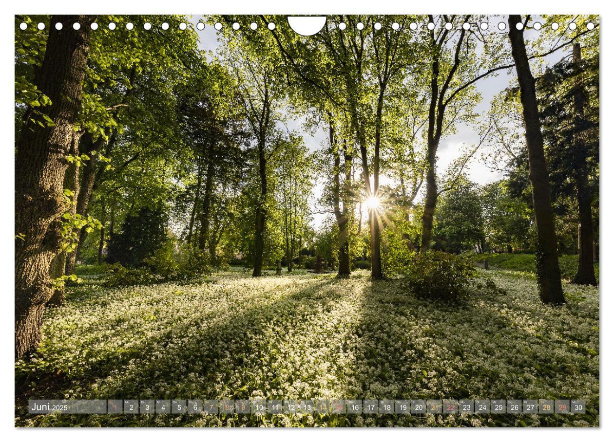 Bild: 9783383940200 | Naturparadies Pfälzerwald (Wandkalender 2025 DIN A4 quer), CALVENDO...