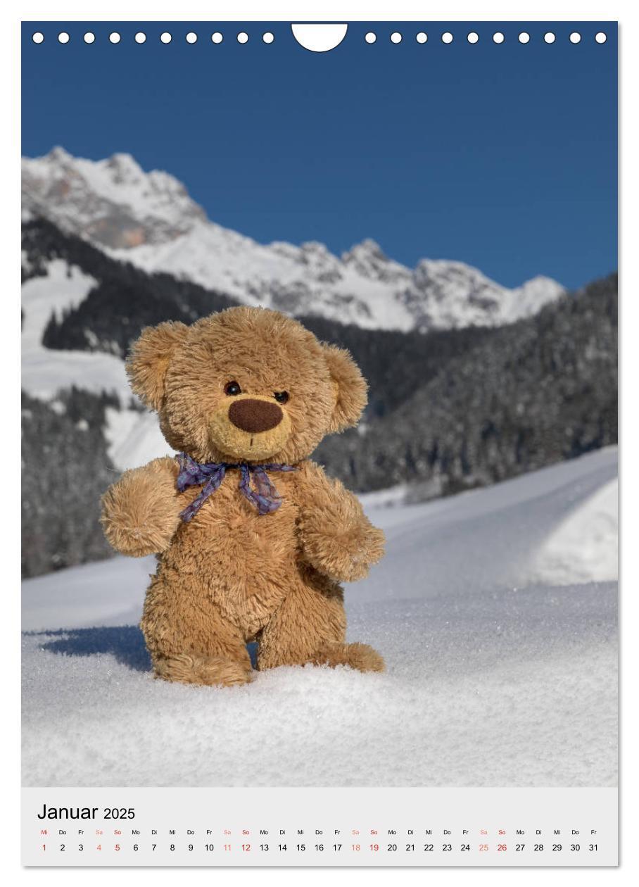 Bild: 9783435935482 | Travelling Teddy auf Welt-Tour (Wandkalender 2025 DIN A4 hoch),...