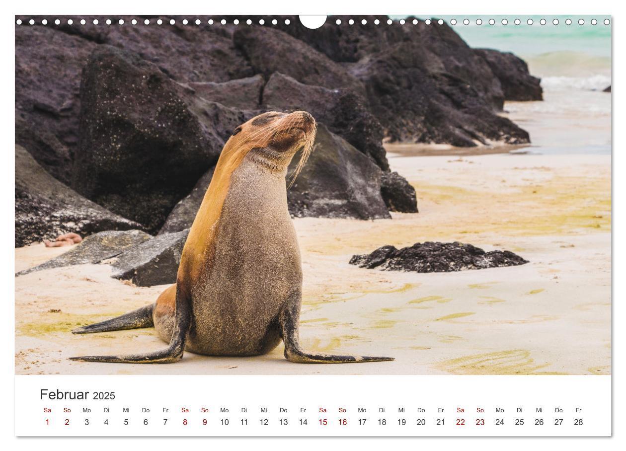 Bild: 9783435003761 | Ecuador - Unbeschreibliche Natur (Wandkalender 2025 DIN A3 quer),...