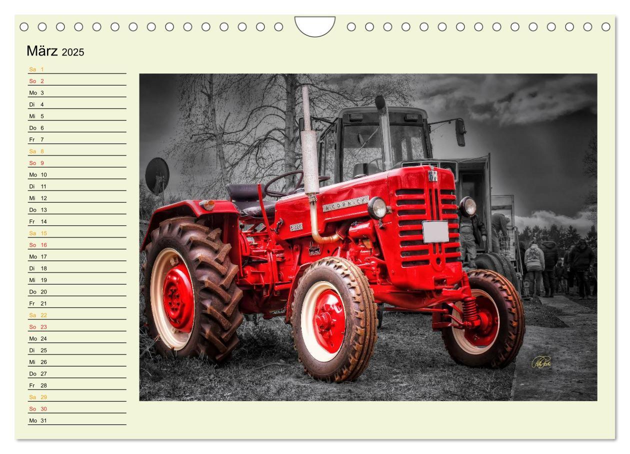 Bild: 9783435586738 | Traktoren - Oldtimer (Wandkalender 2025 DIN A4 quer), CALVENDO...