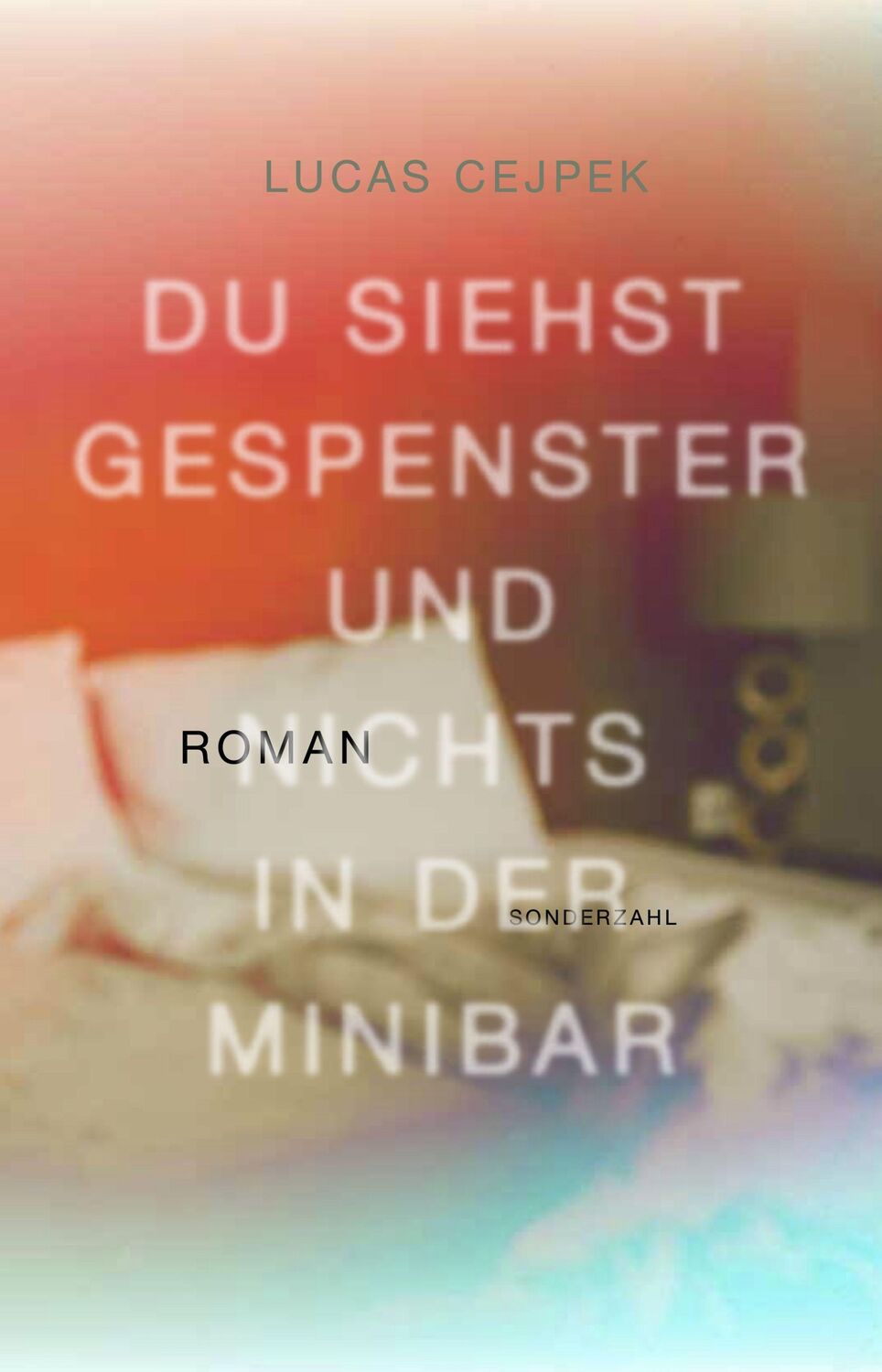 Cover: 9783854496601 | Du siehst Gespenster und nichts in der Minibar | Lucas Cejpek | Buch