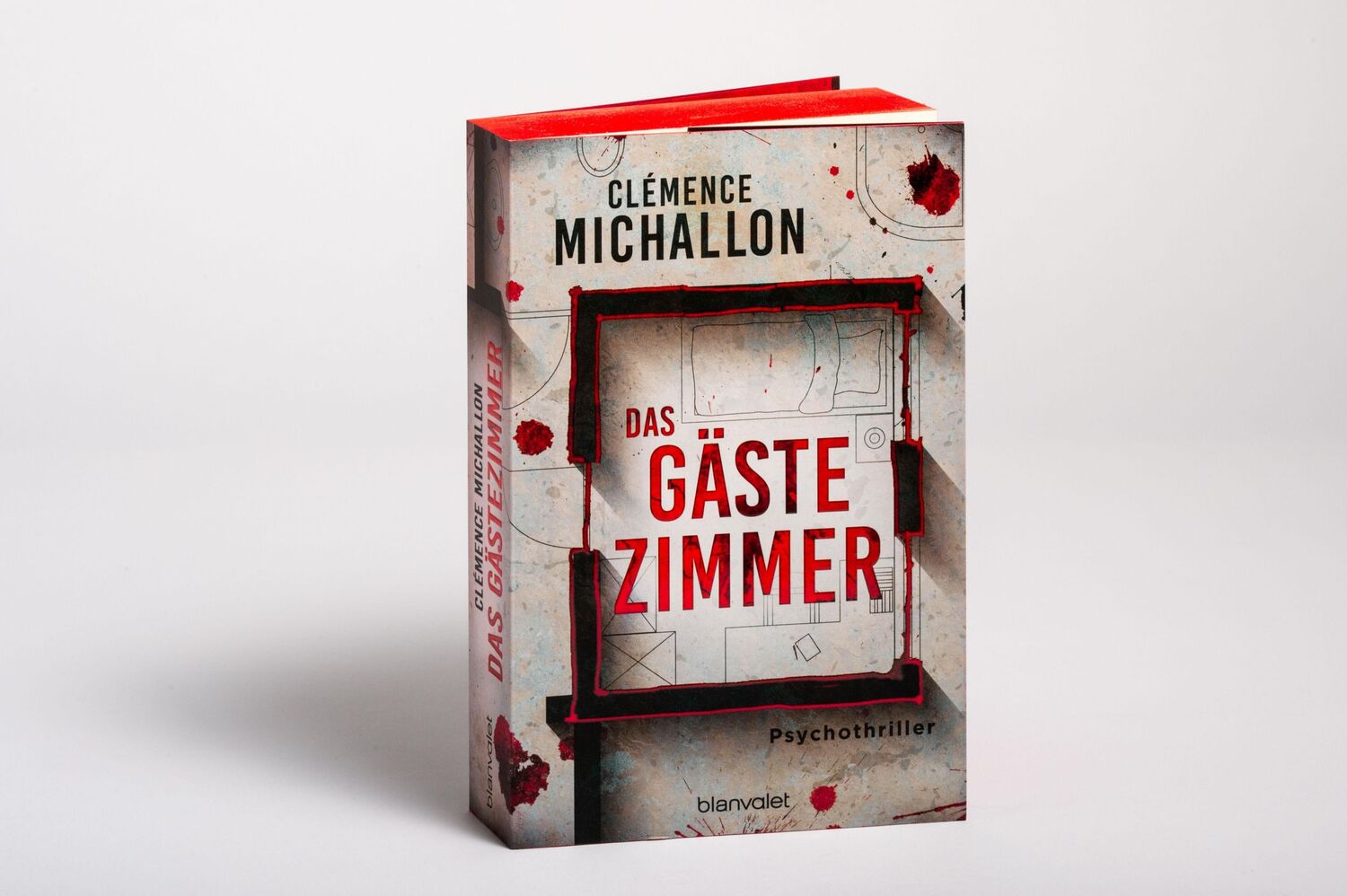 Bild: 9783764508401 | Das Gästezimmer | Clémence Michallon | Taschenbuch | 448 S. | Deutsch