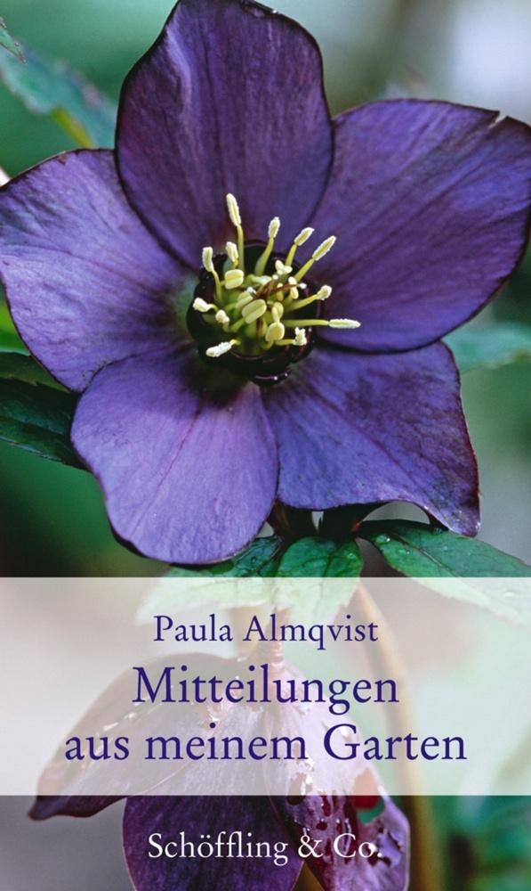 Cover: 9783895615931 | Mitteilungen aus meinem Garten | Gartenkolumnen | Paula Almqvist