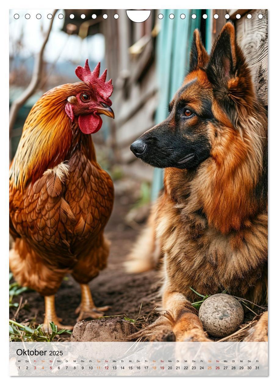 Bild: 9783383773389 | Deutscher Schäferhund - mutig und zuverlässig (Wandkalender 2025...