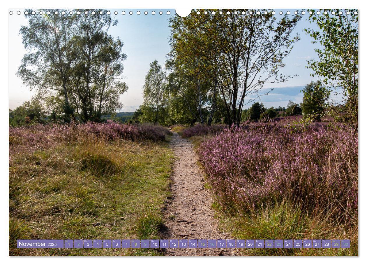 Bild: 9783383984143 | Die Farbenpracht der Lüneburger Heide (Wandkalender 2025 DIN A3...